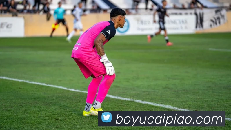 博鱼彩票平台生态图